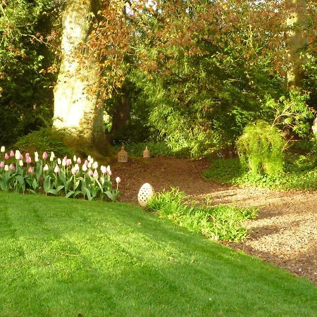 Mouvaux Au Vieux Cedre Bed & Breakfast エクステリア 写真